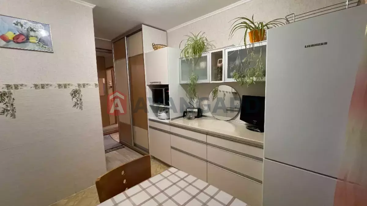 2 ����. ��������, 53/28/8 ��. �., 10/16 ���� ���� 2