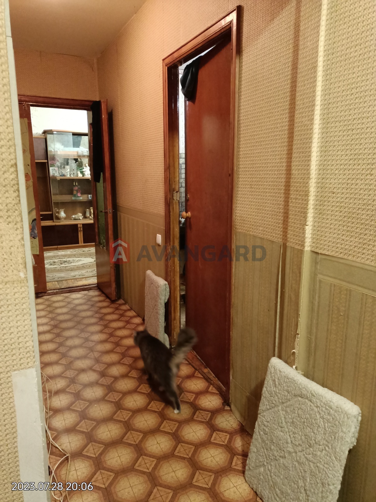 3 ��. ��������, 68/50/8 ��. �., 2/9 ������ ���� 2