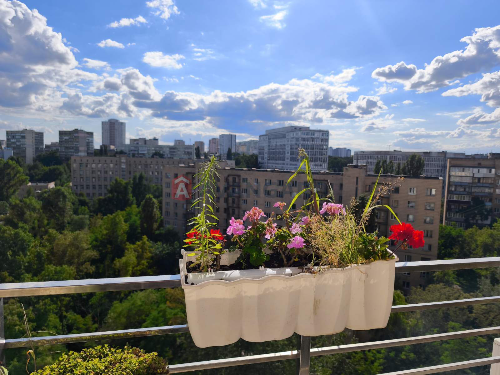 3 ��. ��������, 100/-/12 ��. �., 13/16 ������ ���� 22