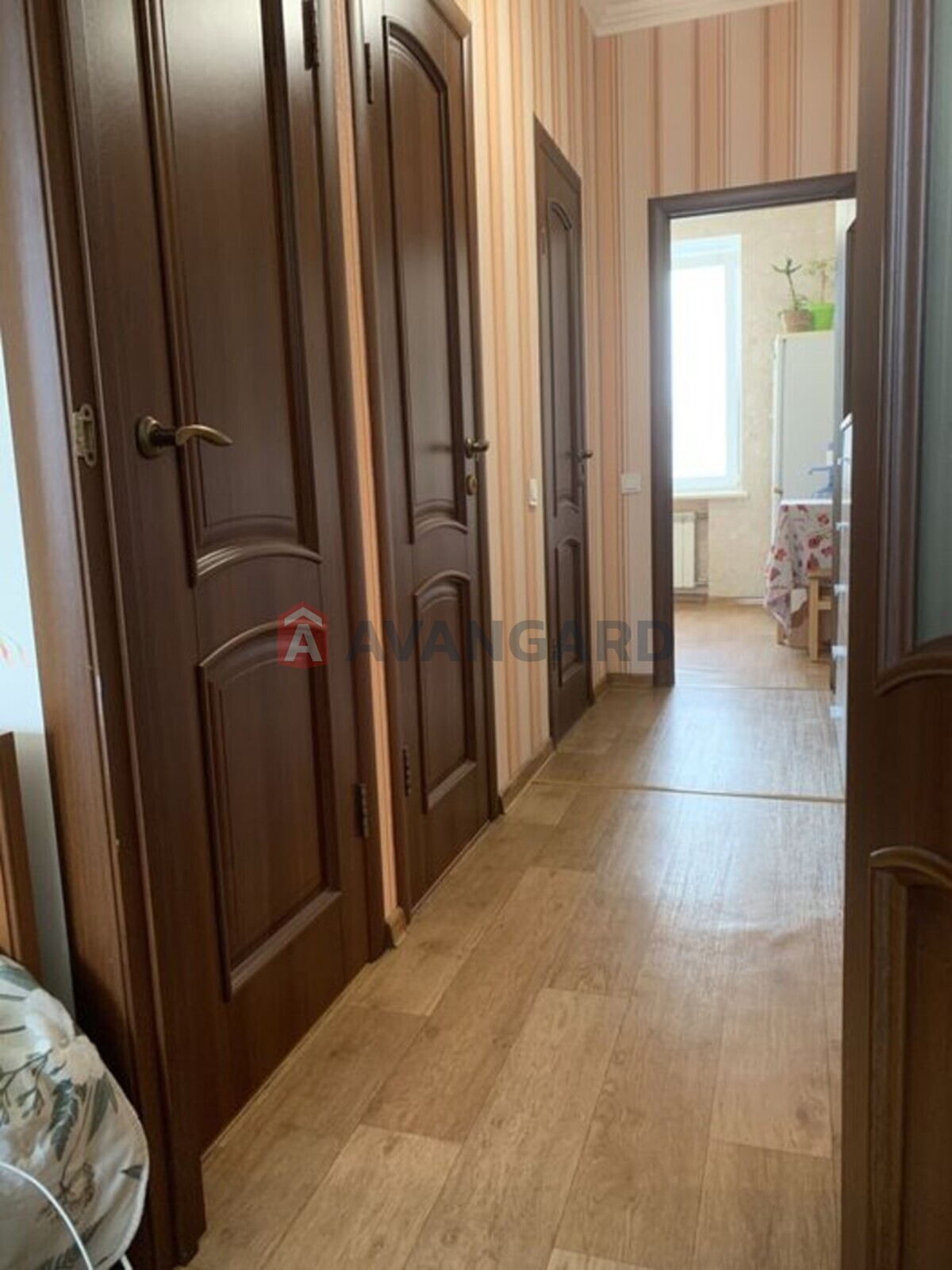 2 ����. ��������, 52/-/7 ��. �., 4/4 ���� ���� 2