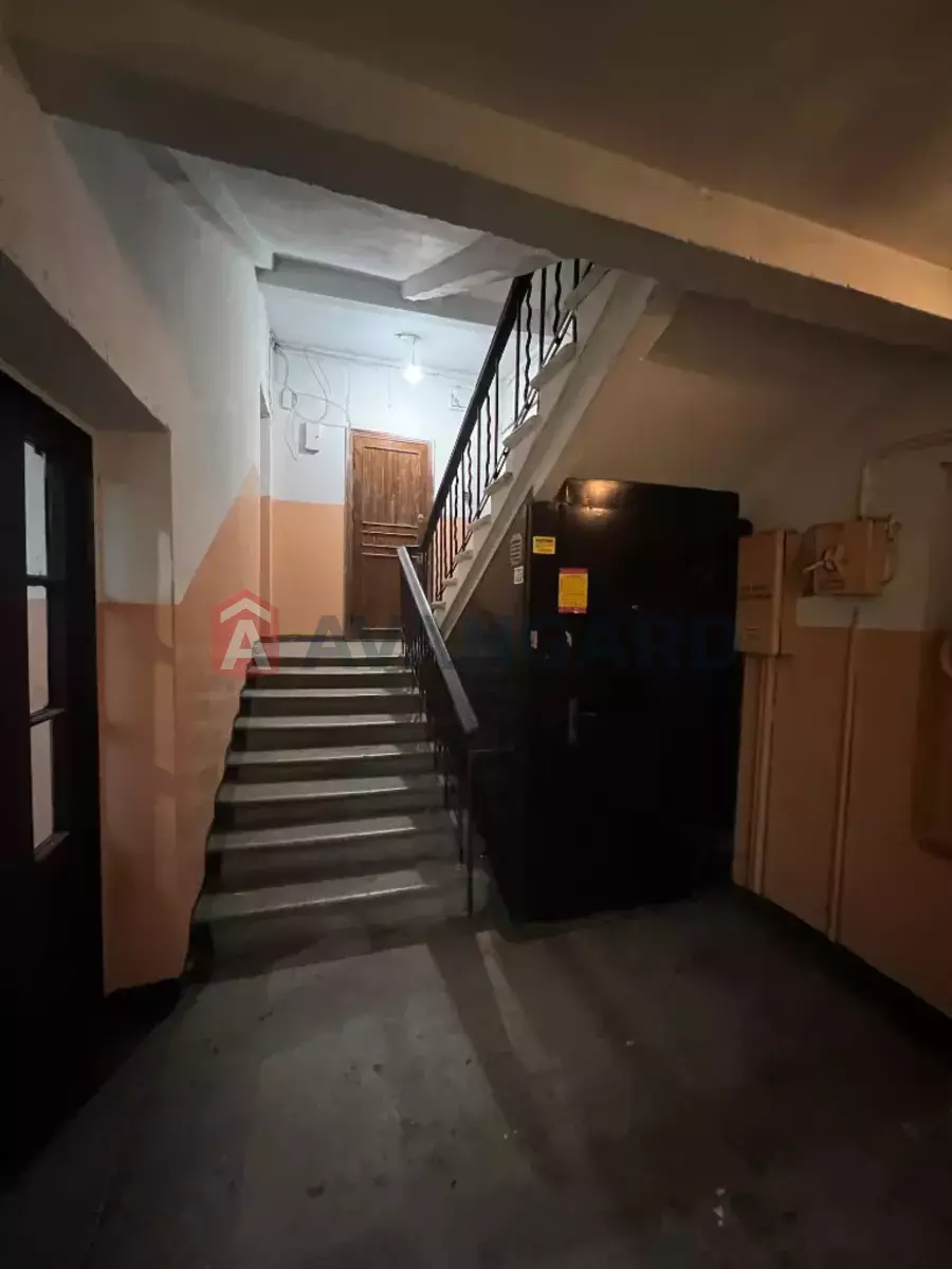 2 . , 55/-/- . ., 7/7   19