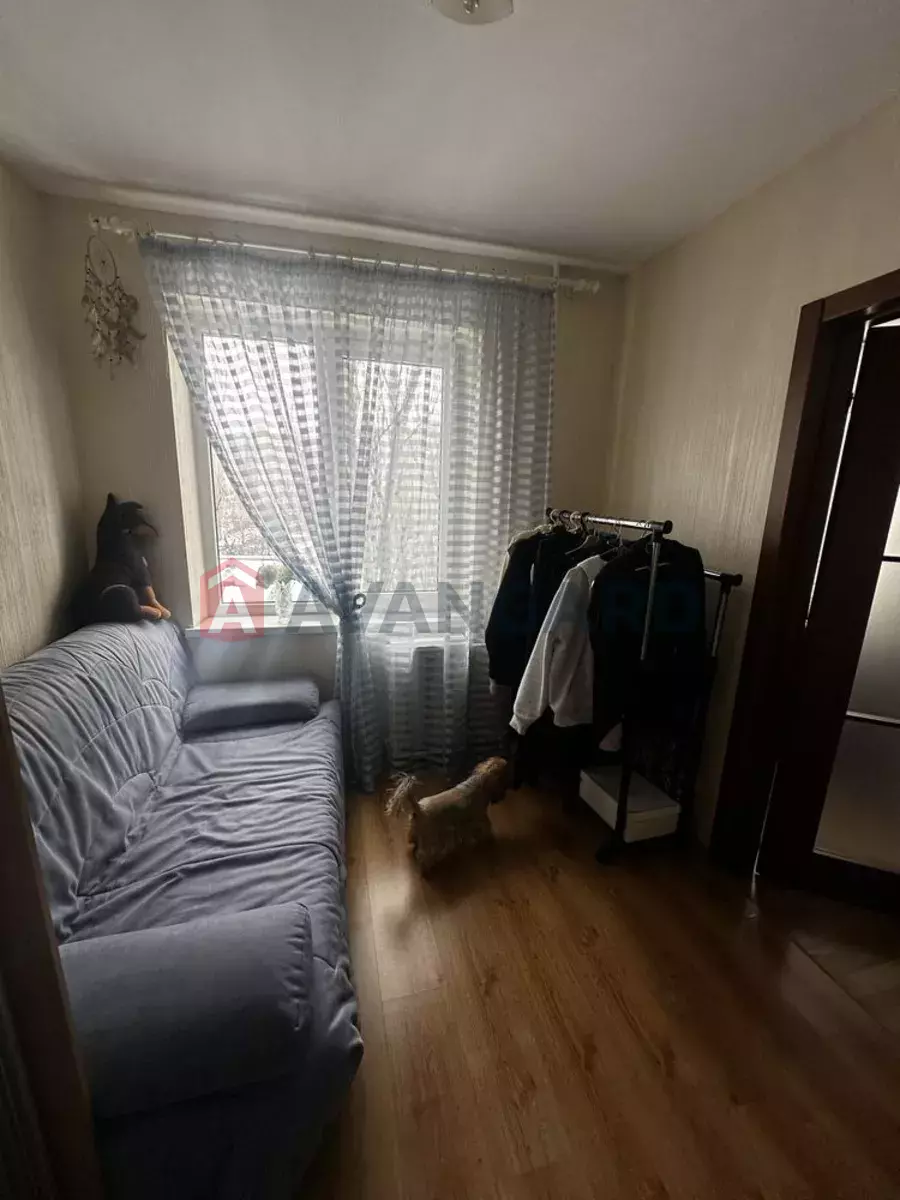 3 ����. ��������, 60/-/12 ��. �., 6/10 ���� ���� 9