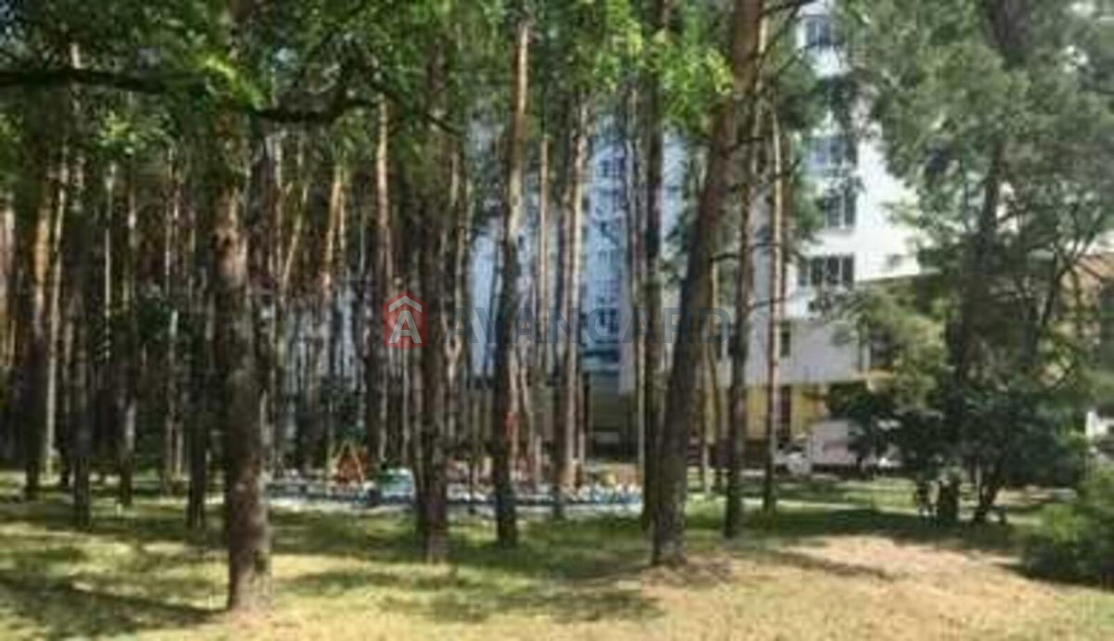 3 ��. ��������, 72/-/2 ��. �., 15/25 ������ ���� 13