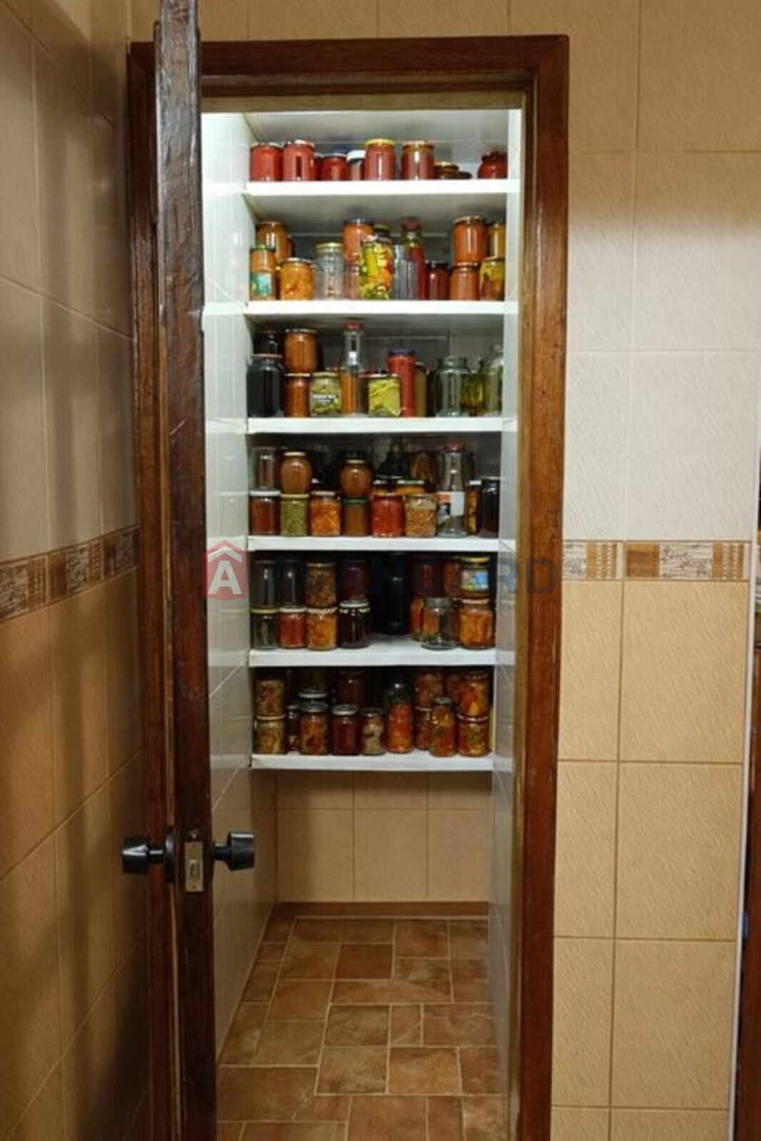 3 ��. ��������, 67/-/7 ��. �., 4/9 ������ ���� 9