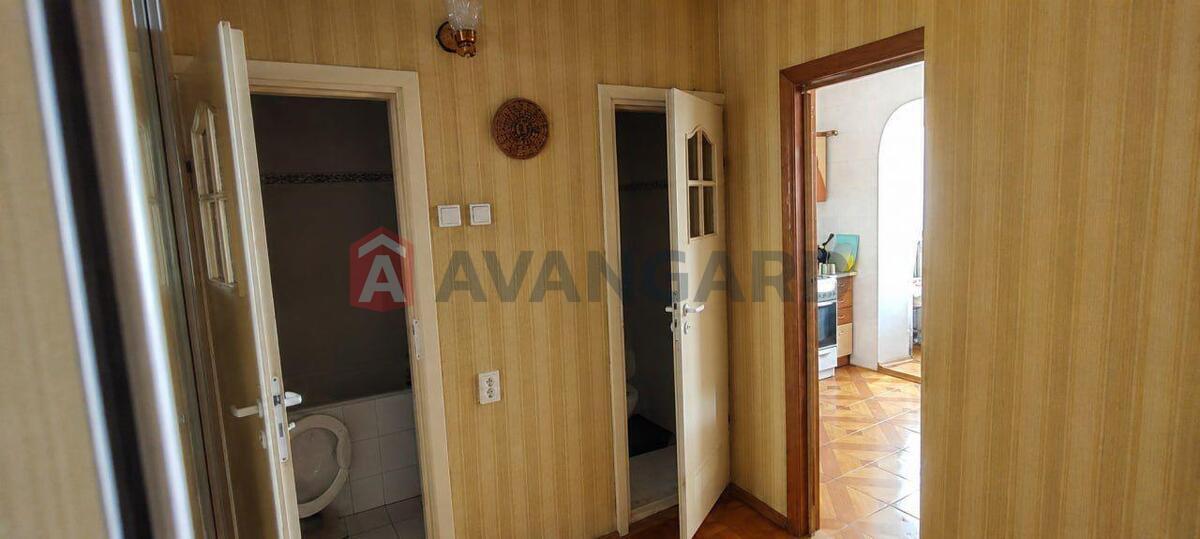 2 ��. ��������, 55/29/10 ��. �., 10/16 ������ ���� 13