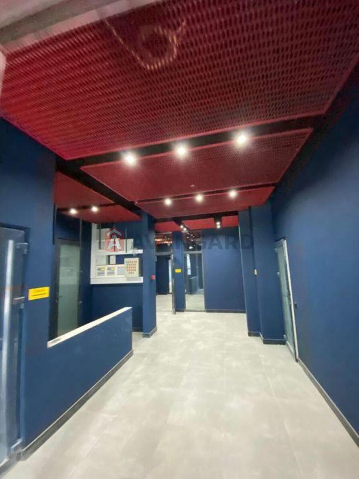 3 ��. ��������, 91/-/16 ��. �., 10/25 ������ ���� 3