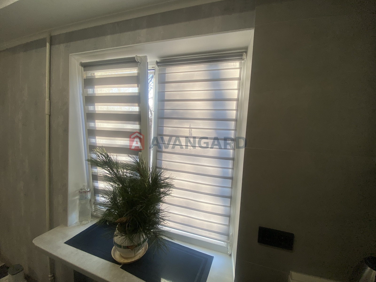 3 ��. ��������, 56/-/6 ��. �., 3/5 ������ ���� 4