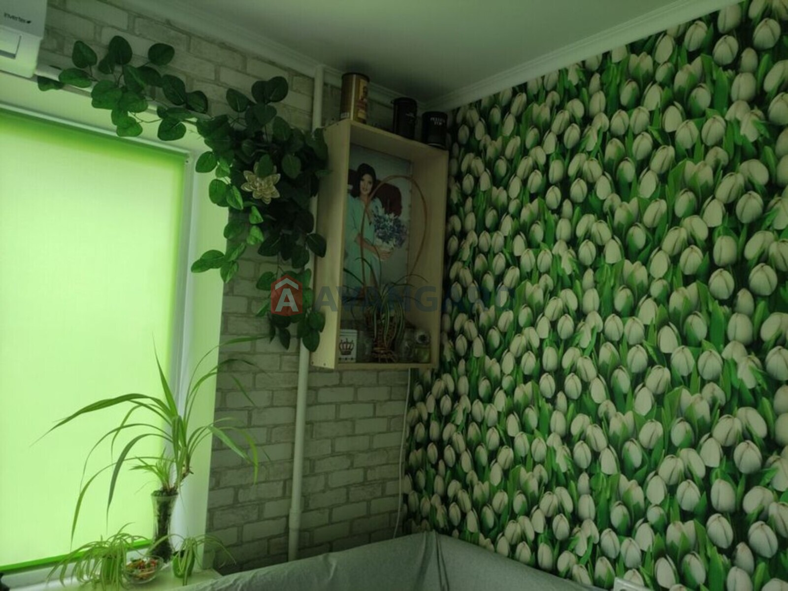 2 ��. ��������, 57/-/8 ��. �., 8/9 ������ ���� 3