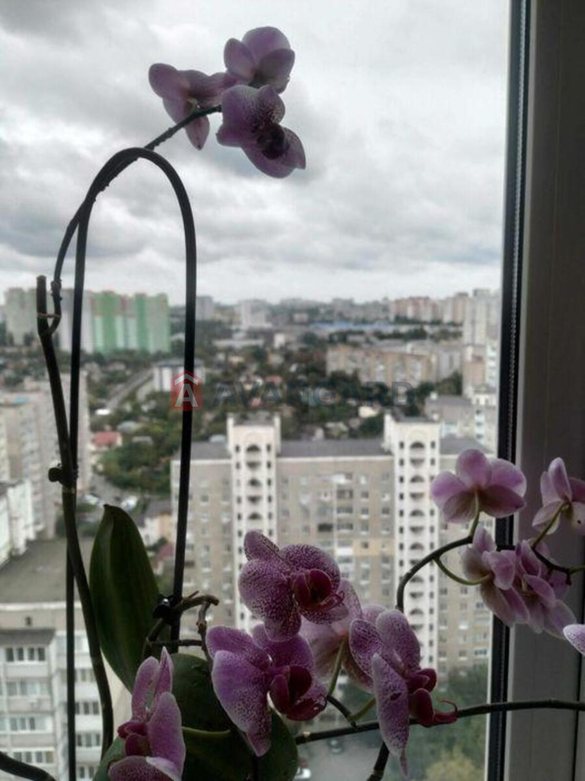 1 . , 31/-/4 . ., 24/26   8