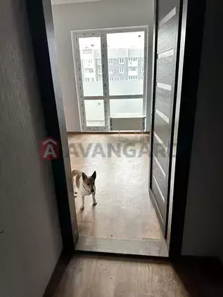 1 ����. ��������, 47/-/12 ��. �., 23/25 ���� ���� 2