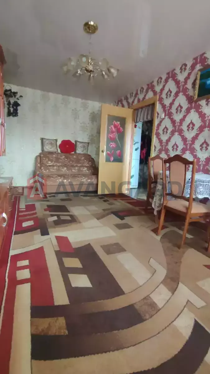 3 ��. ��������, 58/43/6 ��. �., 5/5 ������ ���� 15