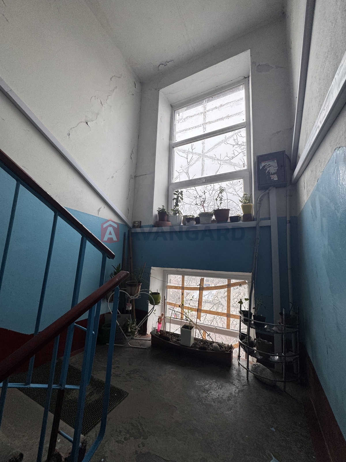 3 ��. ��������, 64/50/7 ��. �., 5/5 ������ ���� 15