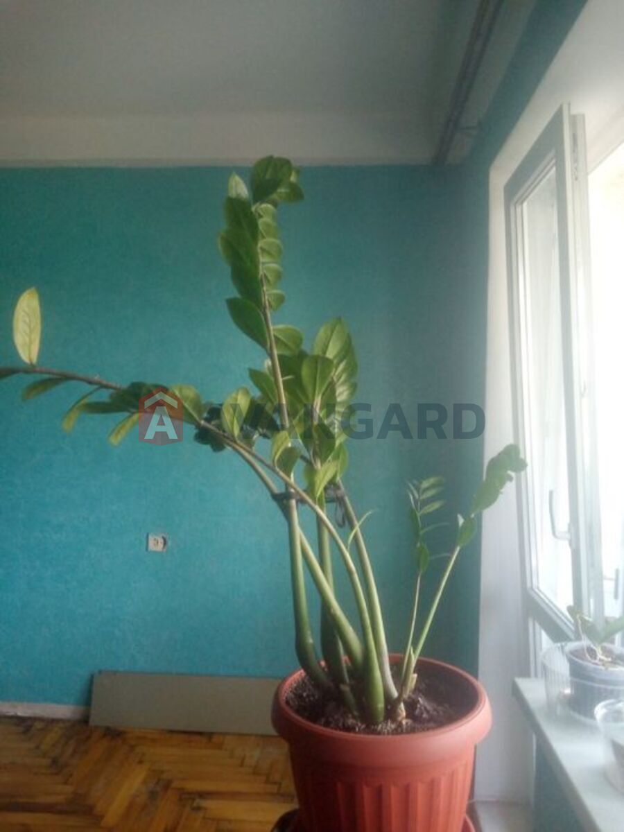 3 ��. ��������, 68/45/12 ��. �., 5/9 ������ ���� 13