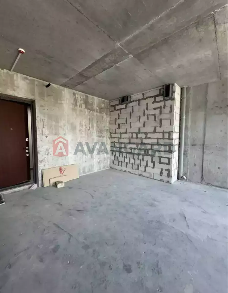 1 ��. ��������, 37/-/- ��. �., 10/19 ������ ���� 6