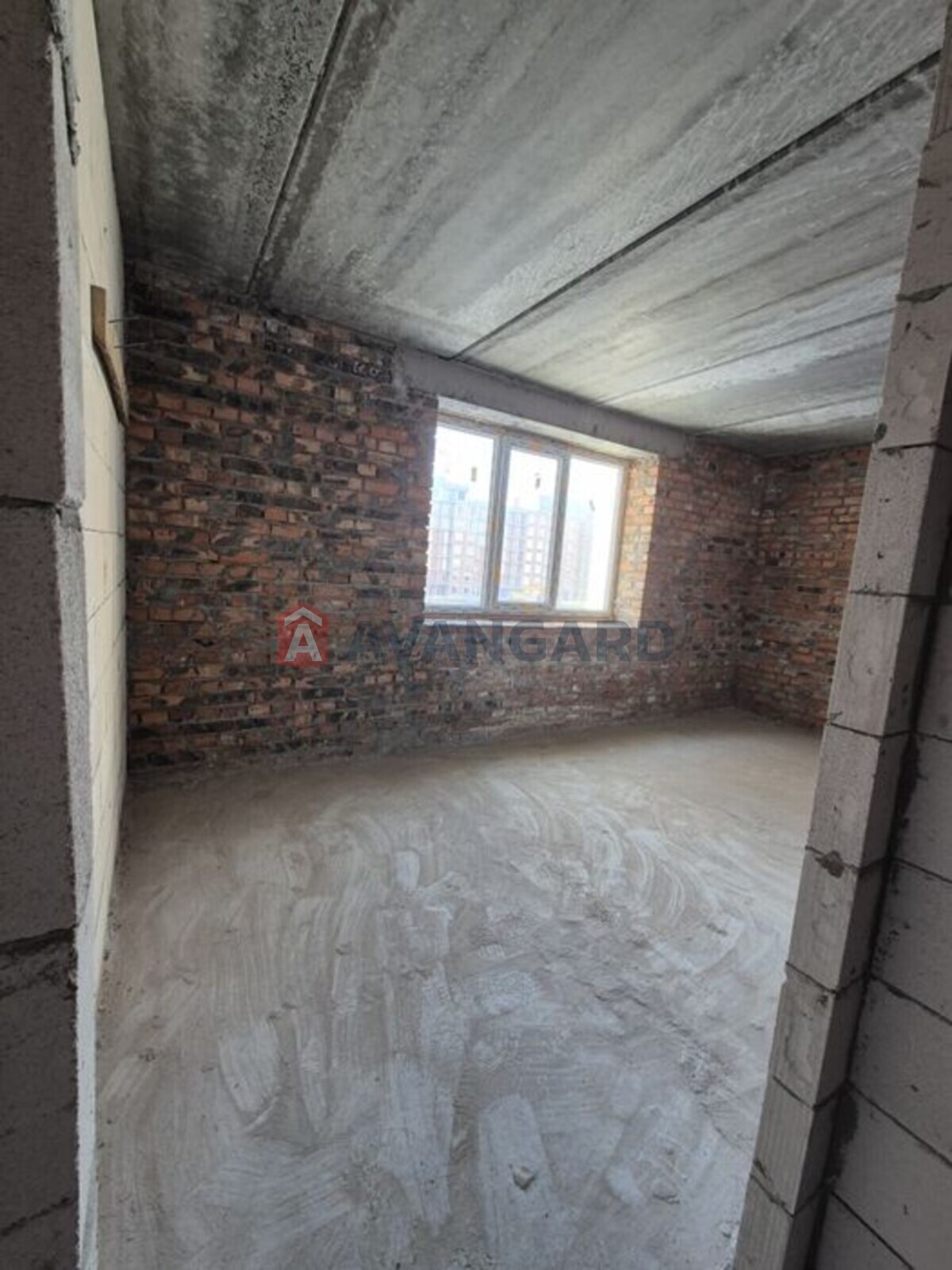 3 ��. ��������, 83/-/16 ��. �., 2/10 ������ ���� 5