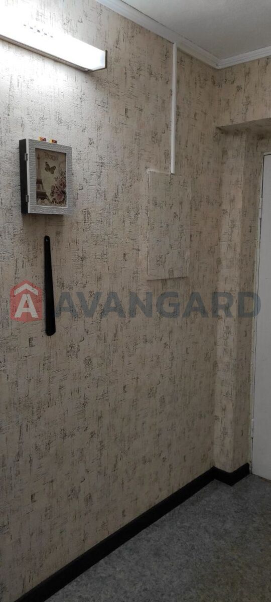 1 ��. ��������, 30/-/6 ��. �., 5/5 ������ ���� 11