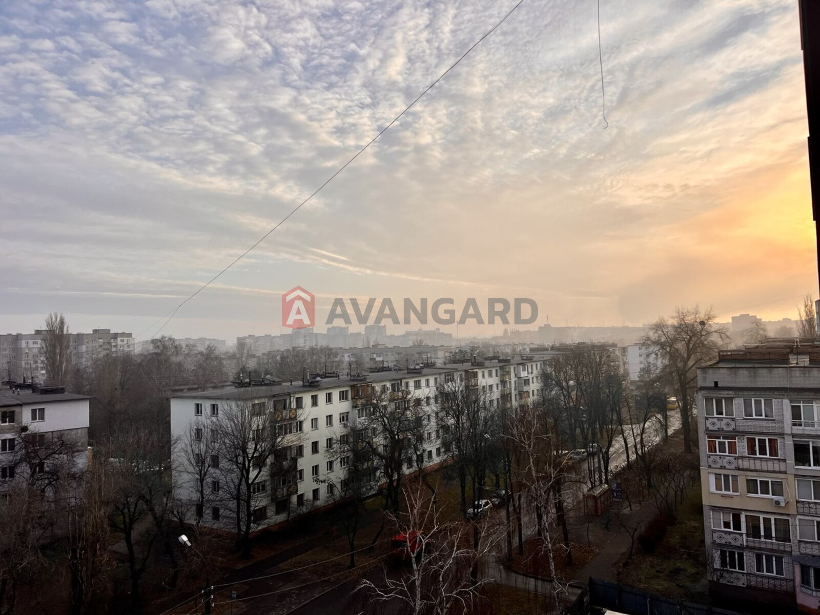 2 . , 49,5/20.7/11.2 . ., 7/9   18