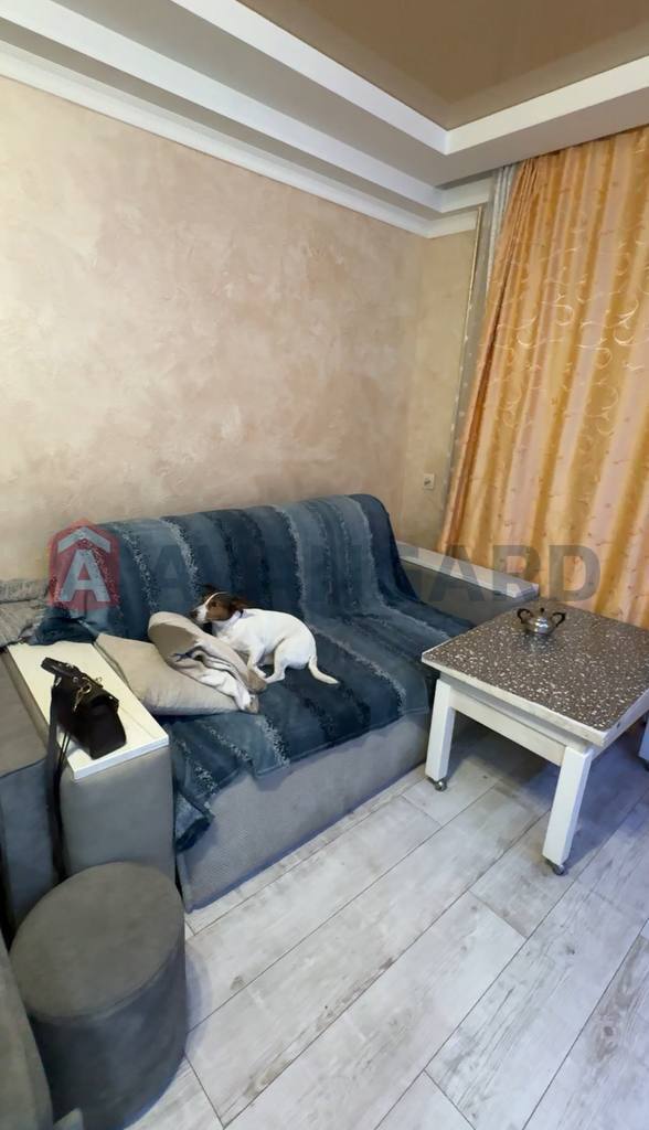 3 ��. ��������, 53.85/6.3/37.7 ��. �., 3/5 ������ ���� 18