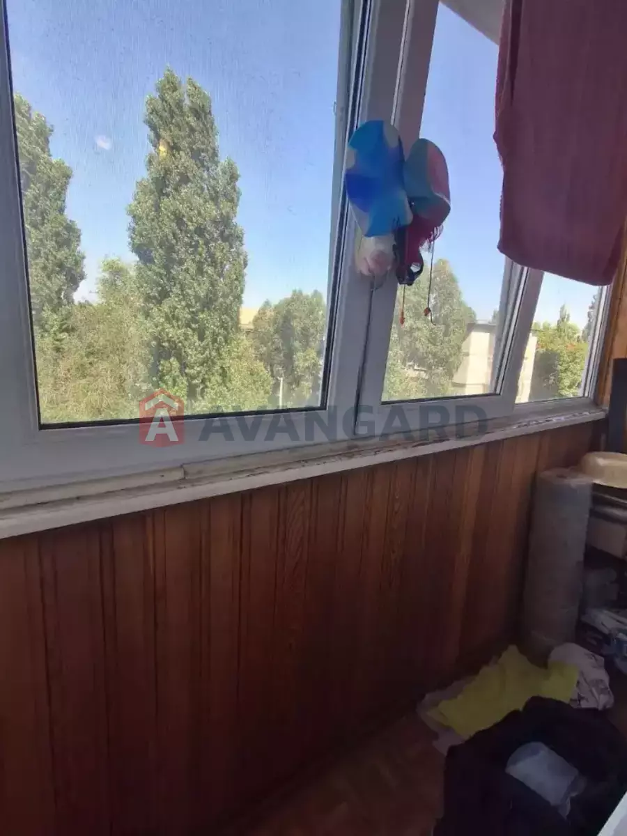 3 ��. ��������, 62/40/8 ��. �., 5/9 ������ ���� 3