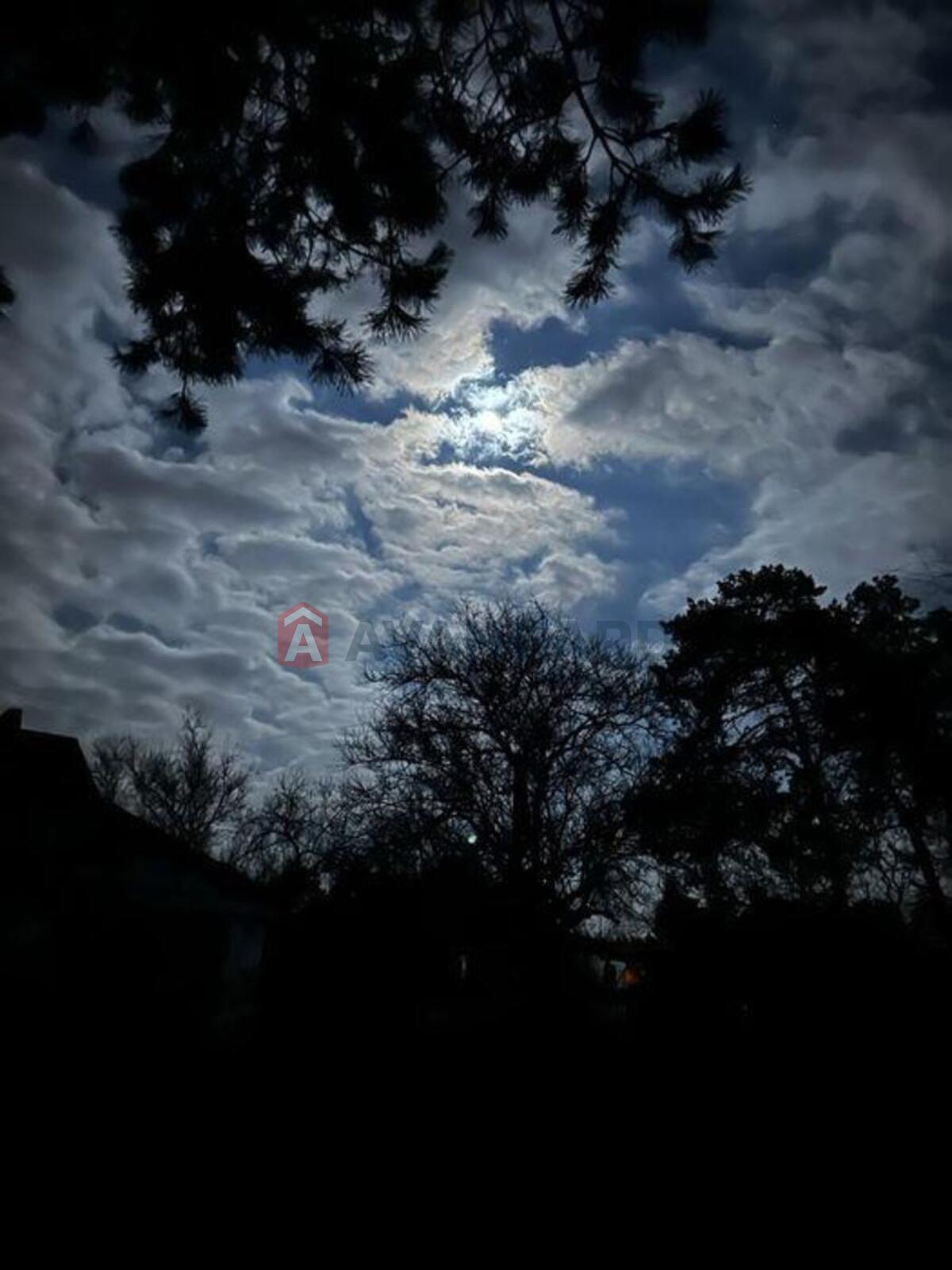 2 ��. ��������, 81/-/20 ��. �., 3/6 ������ ���� 18