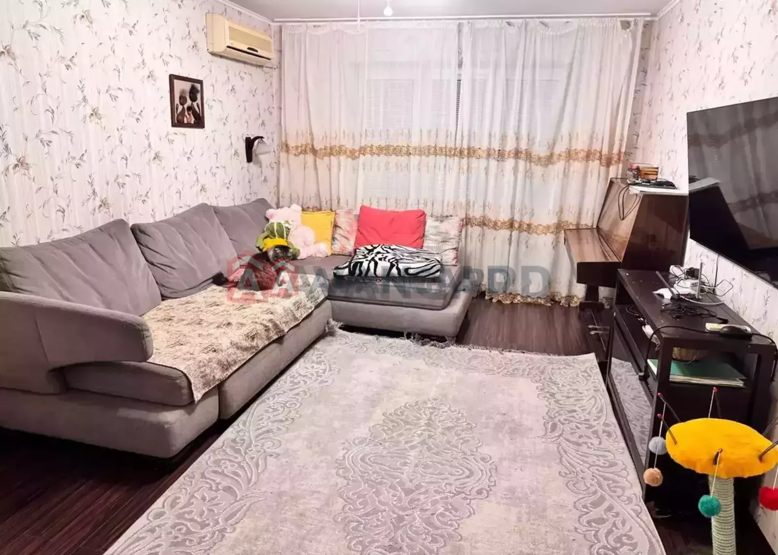 3 ��. ��������, 66/39/9 ��. �., 7/9 ������ ���� 12