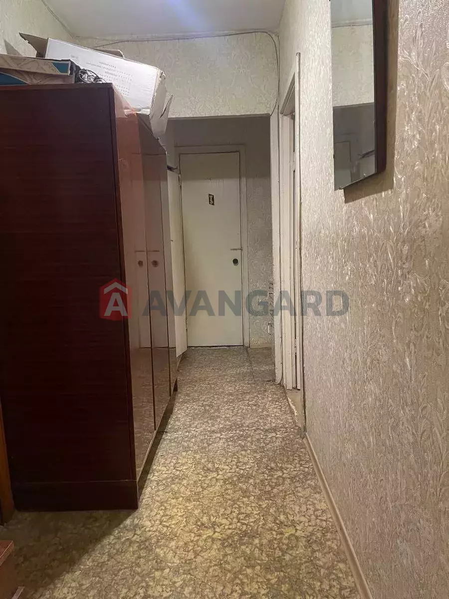 2 ����. ��������, 54/-/8 ��. �., 4/9 ���� ���� 11