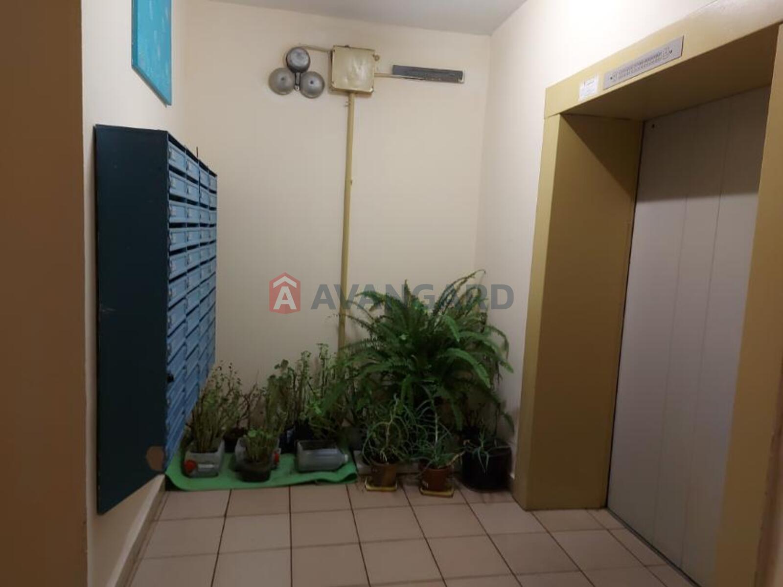 1 ��. ��������, 51/24/10 ��. �., 10/14 ������ ���� 16