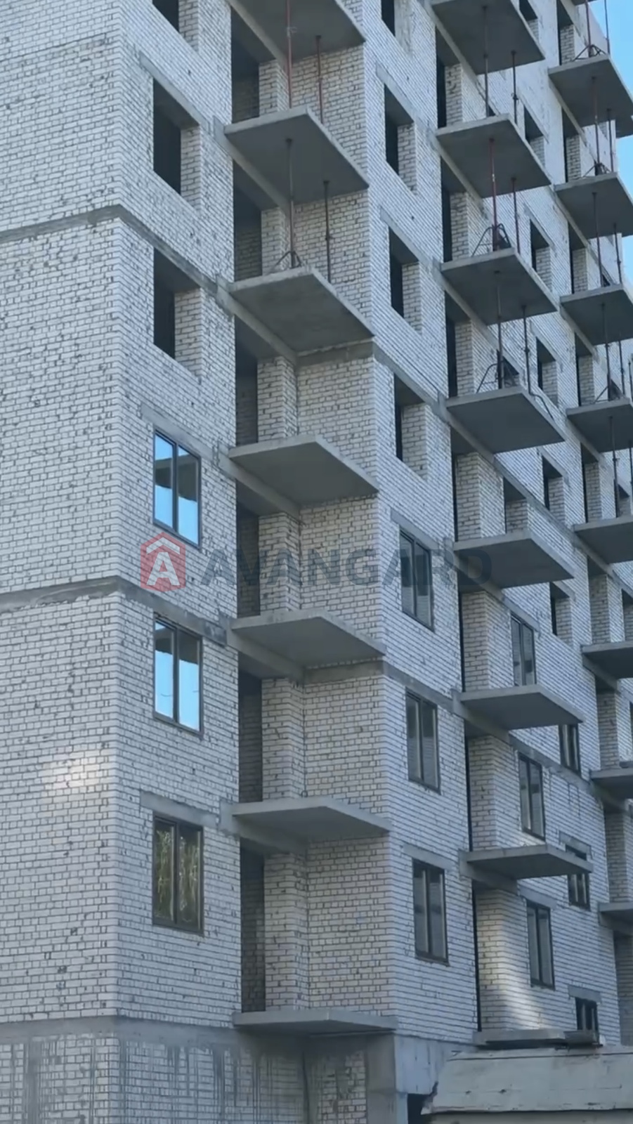 1 ��. ��������, 40,3/33,5/8 ��. �., 8/10 ������ ���� 12