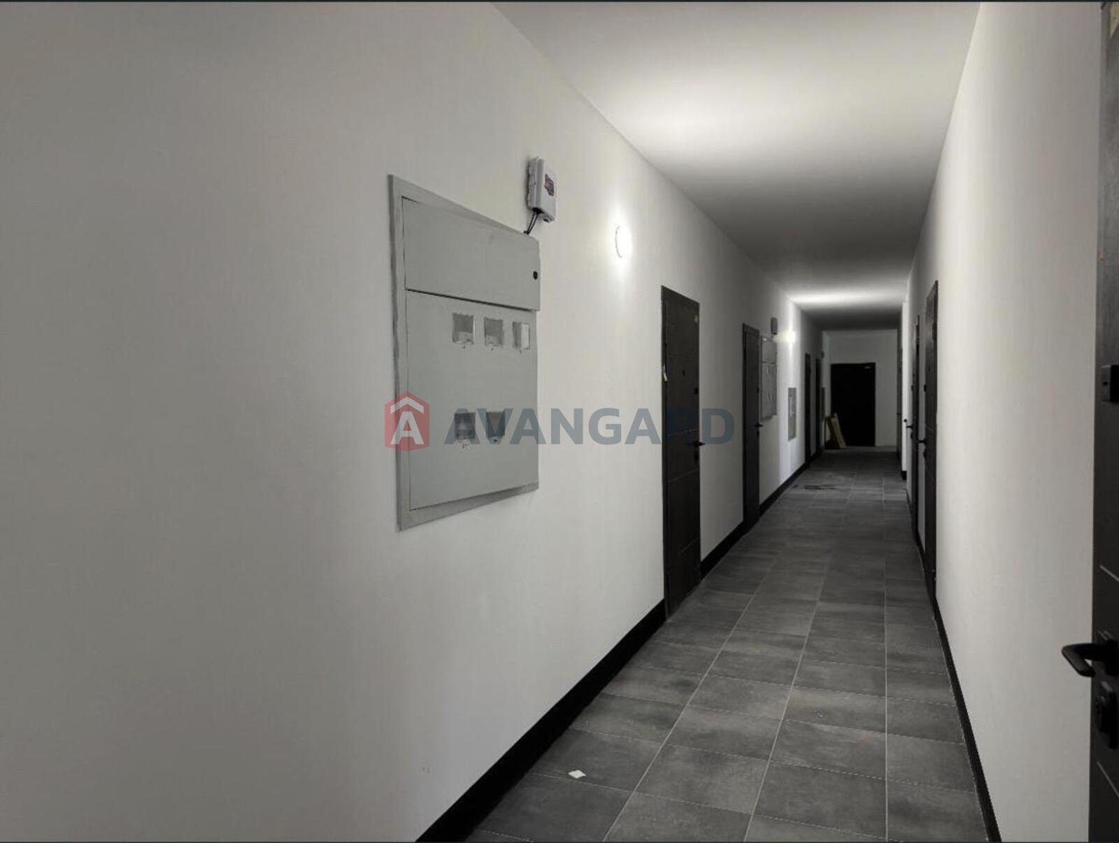 1 ��. ��������, 20/15/5 ��. �., 5/6 ������ ���� 7