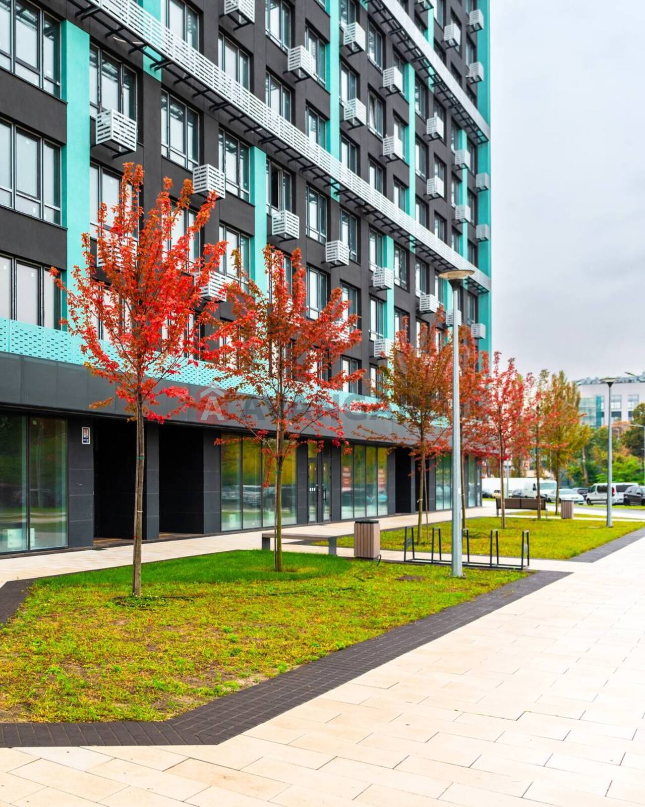 3 ��. ��������, 81/-/18 ��. �., 22/25 ������ ���� 9