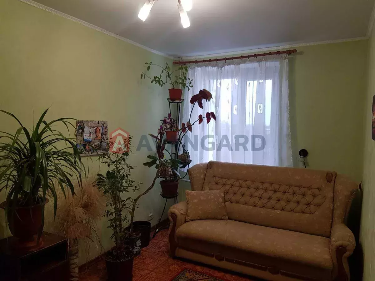 3 ��. ��������, 71/-/10 ��. �., 7/10 ������ ���� 7