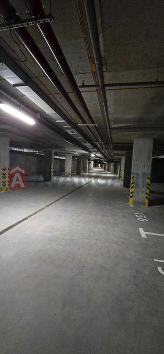 3 ��. ��������, 84/-/15 ��. �., 23/25 ������ ���� 6