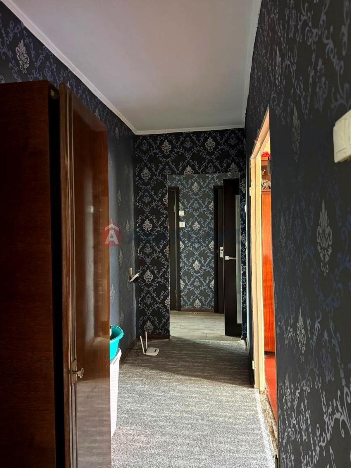 3 ��. ��������, 65/38/8 ��. �., 9/9 ������ ���� 5