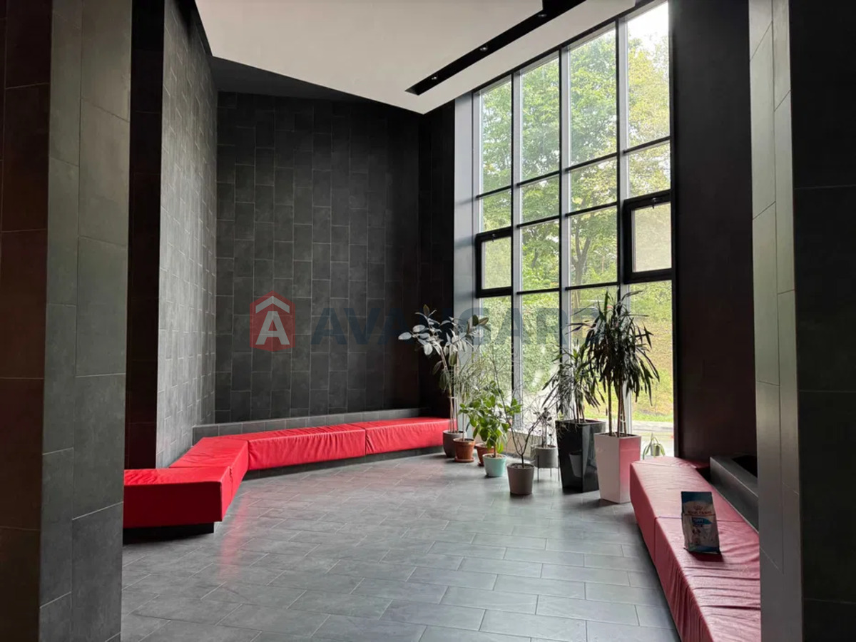 3 . , 91/-/38 . ., 17/25   1