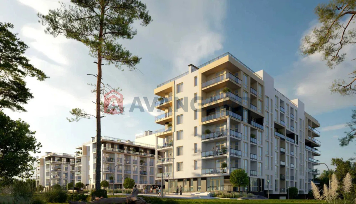 1 ����. ��������, 38/-/14 ��. �., 4/5 ���� ���� 2