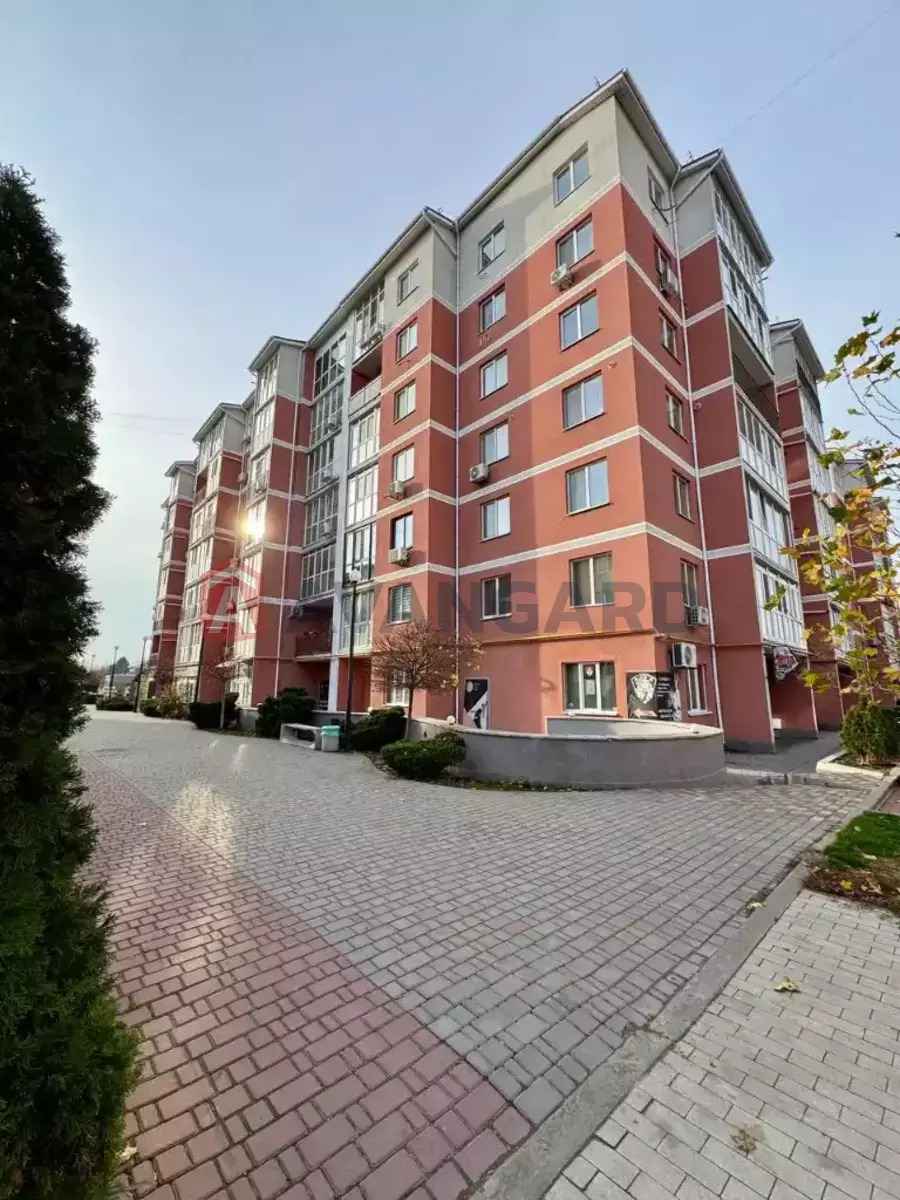 4 . , 96/55/38 . ., 6/6   17