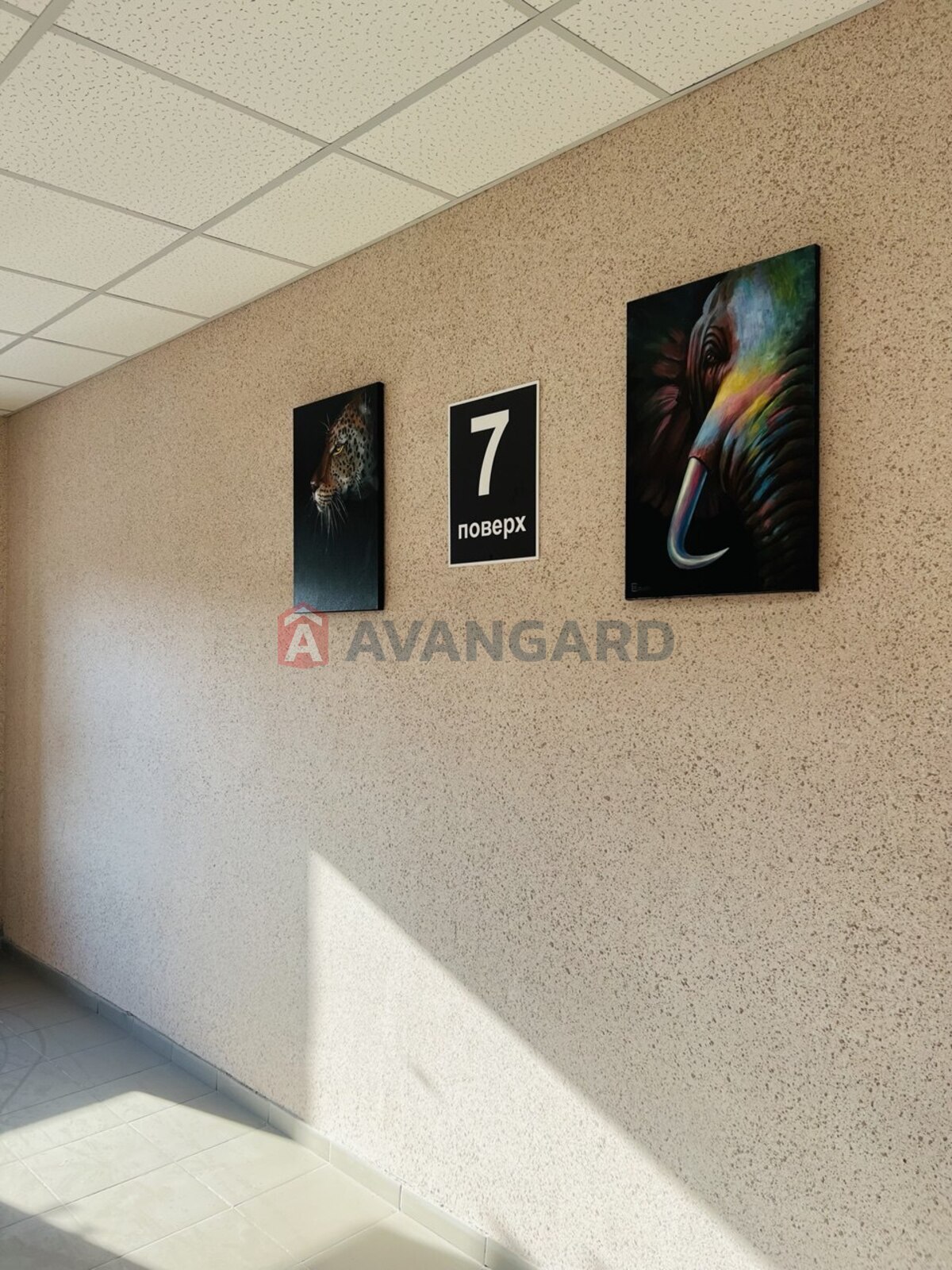 3 ��. ��������, 70,5/30/25 ��. �., 7/16 ������ ���� 4