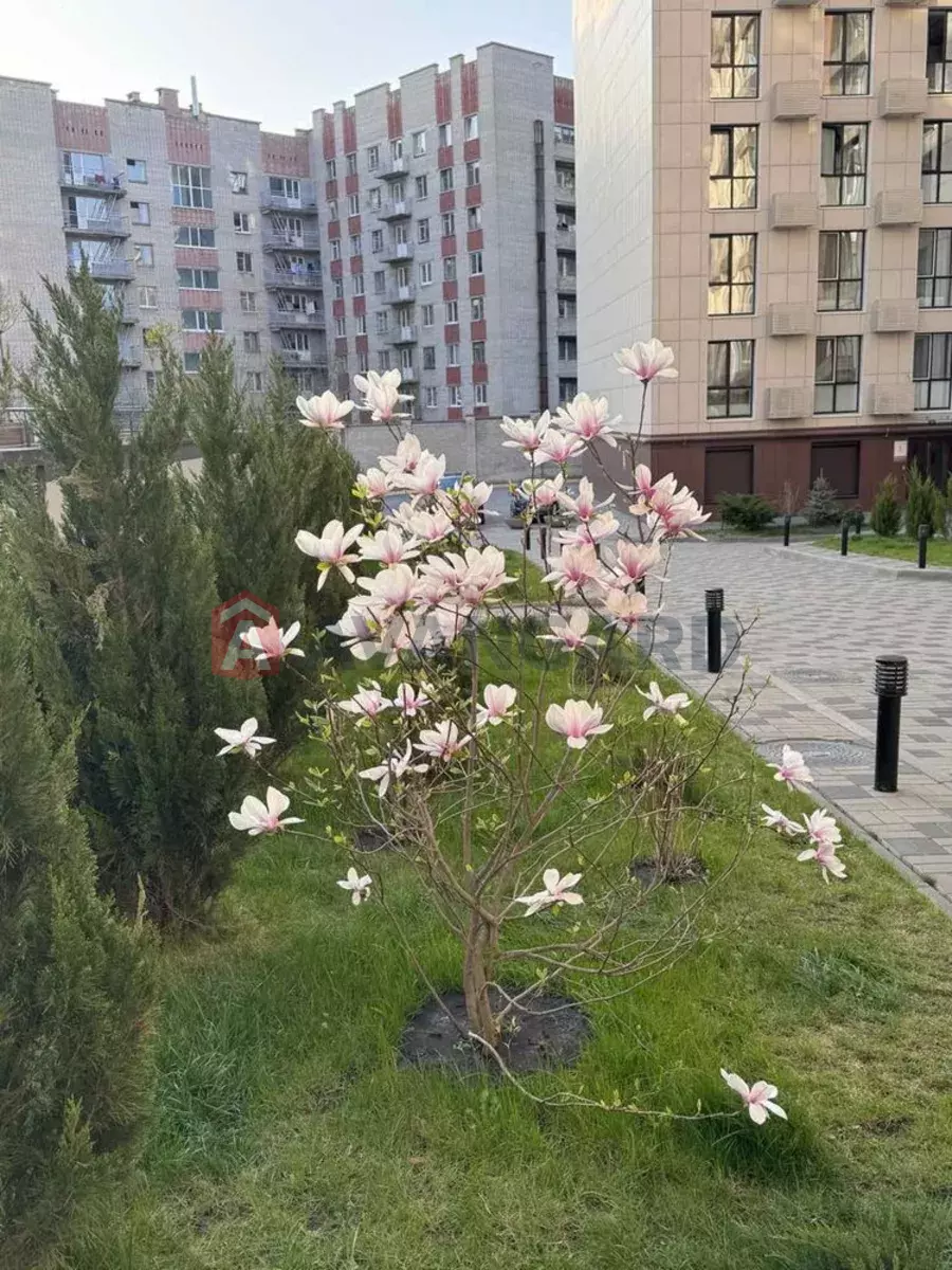 2 ��. ��������, 86/-/18 ��. �., 4/10 ������ ���� 7