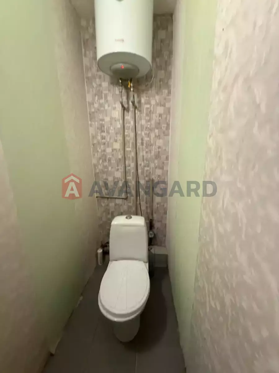 3 ��. ��������, 67/-/- ��. �., 5/10 ������ ���� 8