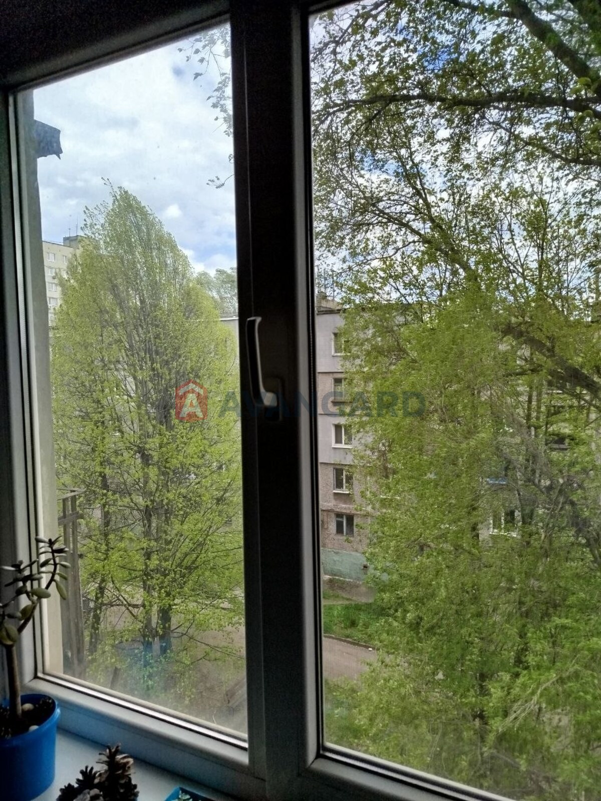 1 ����. ��������, 29,8 / 21 / 7.1 ��. �., 5/5 ���� ���� 8