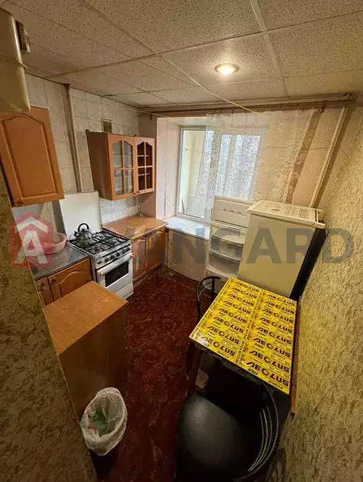 3 ����. ��������, 57/43/6 ��. �., 3/9 ���� ���� 5