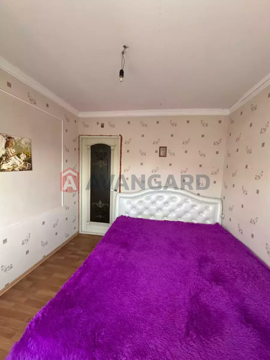 3 ��. ��������, 66/40/10 ��. �., 10/10 ������ ���� 3