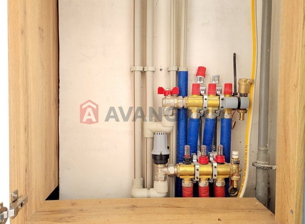 3 ��. ��������, 82/43/12 ��. �., 7/7 ������ ���� 6