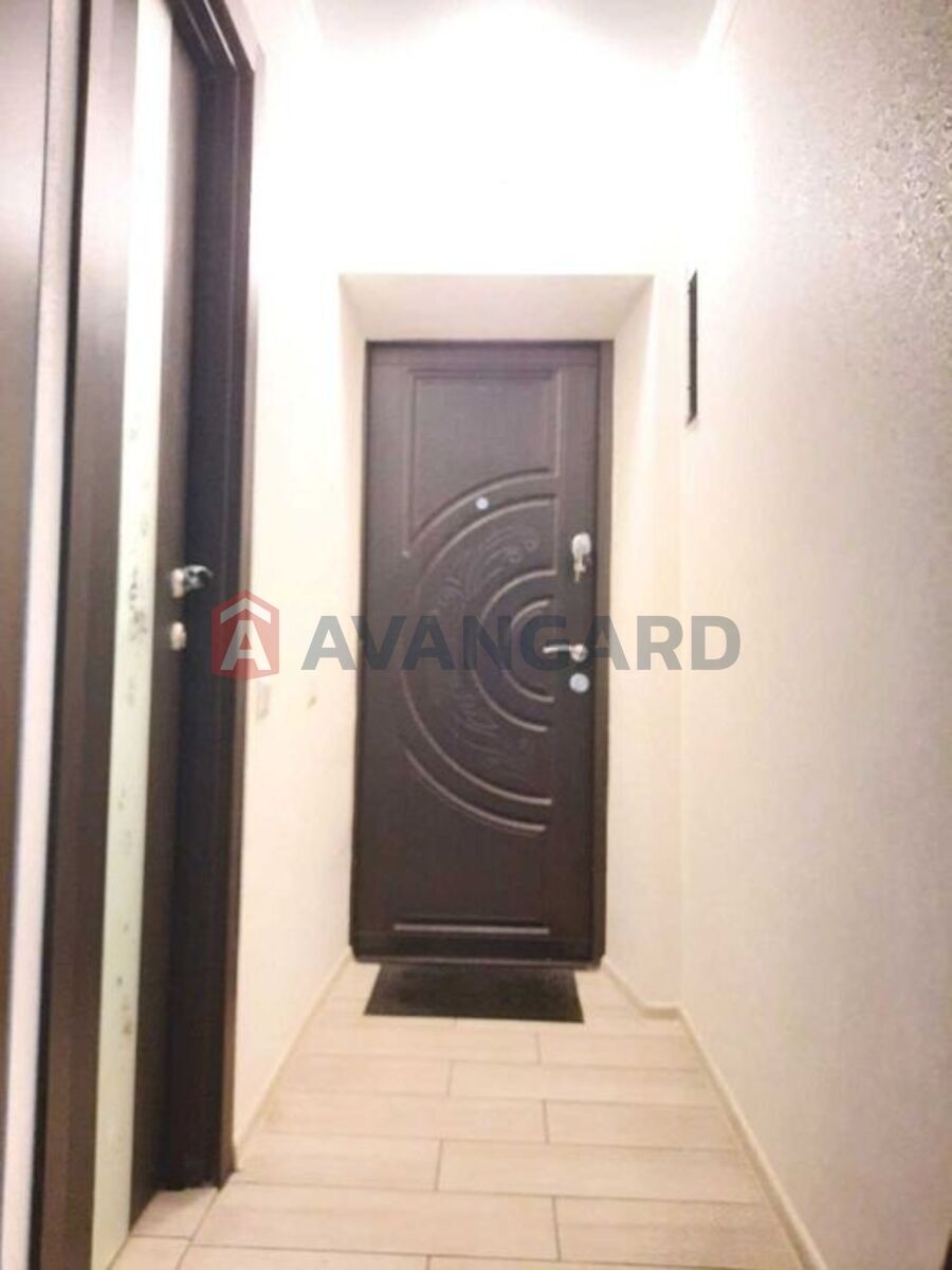 2 ��. ��������, 42/-/6 ��. �., 3/5 ������ ���� 3