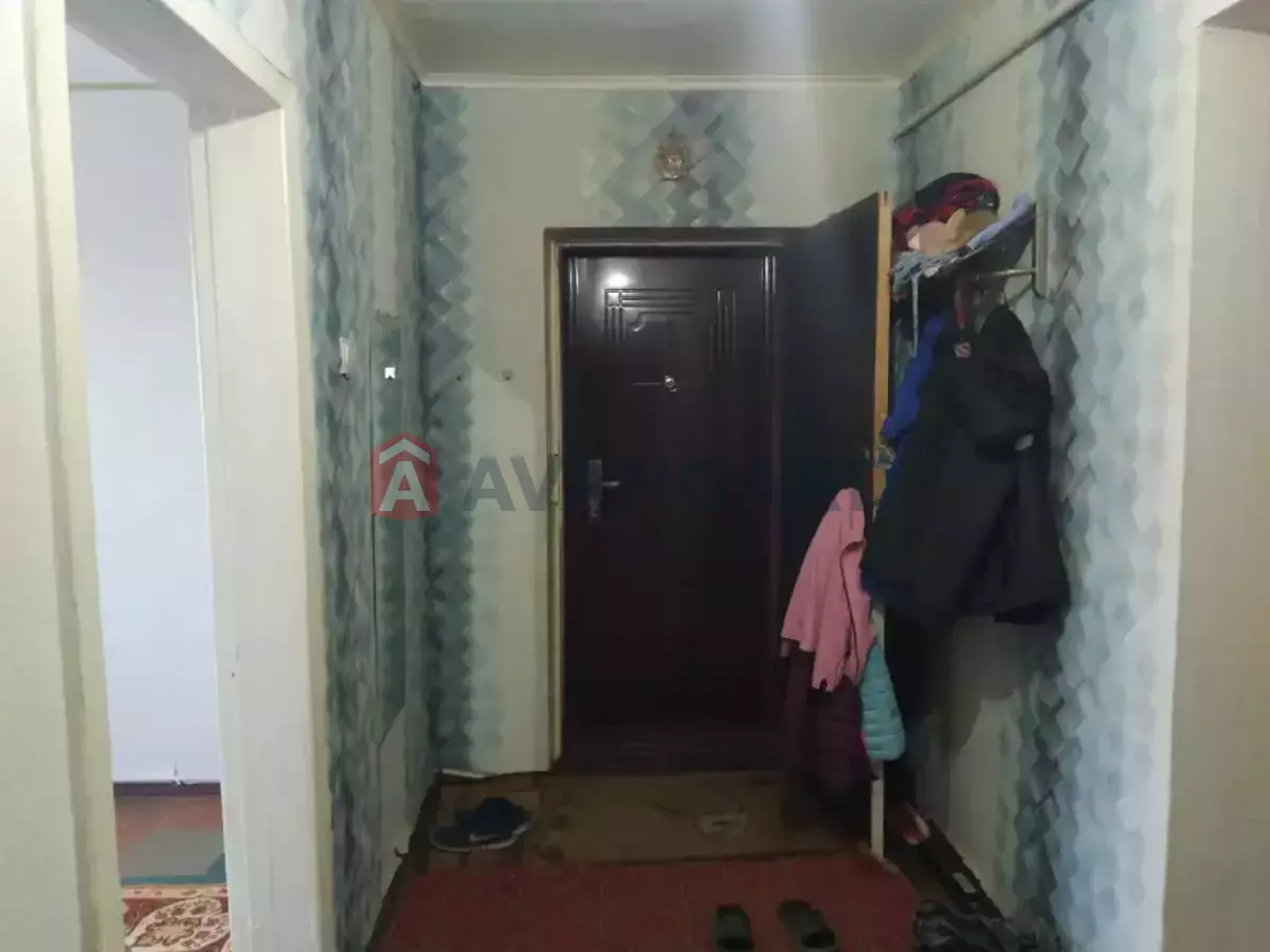 3 ��. ��������, 71/43/9 ��. �., 1/2 ������ ���� 5