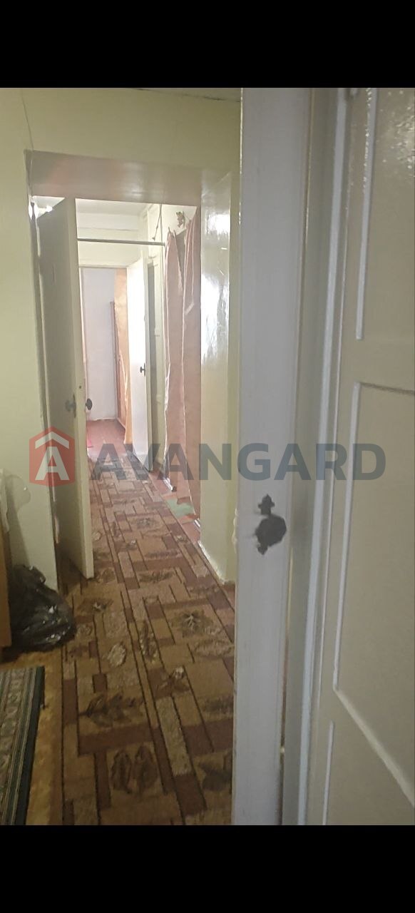 3 ��. ��������, 58/50/8 ��. �., 1/5 ������ ���� 1