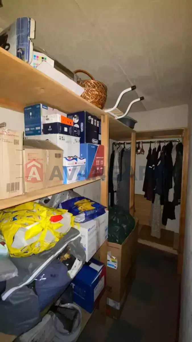 3 ����. ��������, 64/-/7 ��. �., 8/9 ���� ���� 12