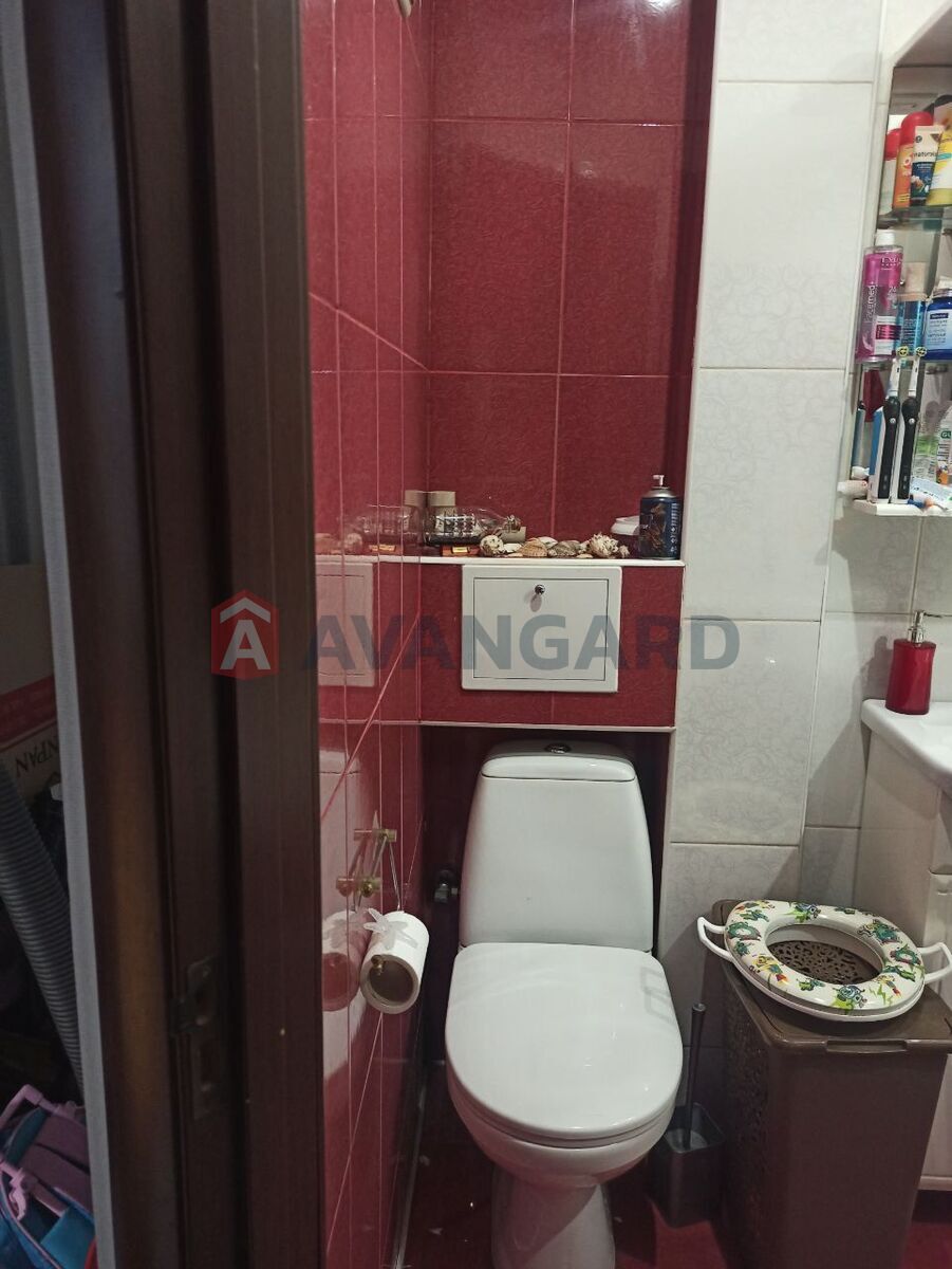 3 ����. ��������, 53/-/6 ��. �., 3/5 ���� ���� 6