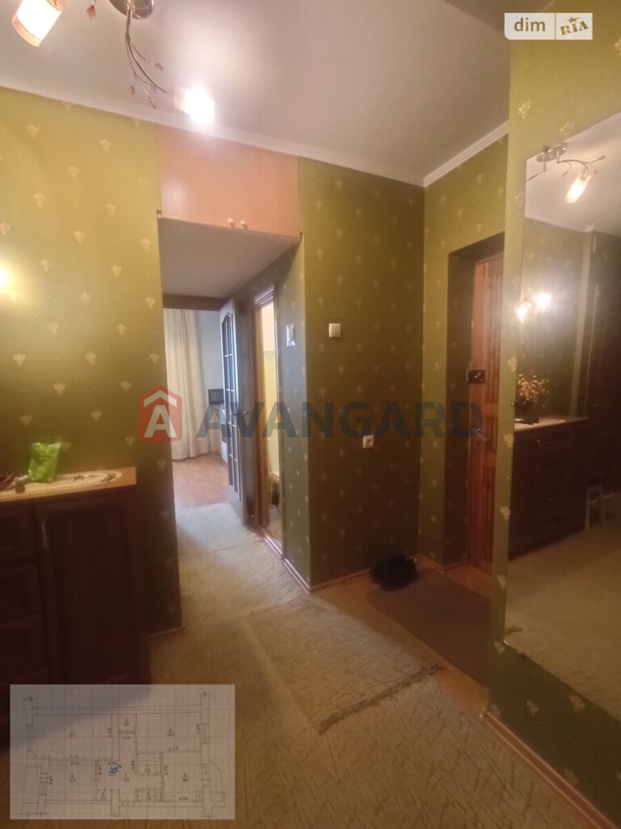 3 ��. ��������, 66/40/8 ��. �., 1/5 ������ ���� 6