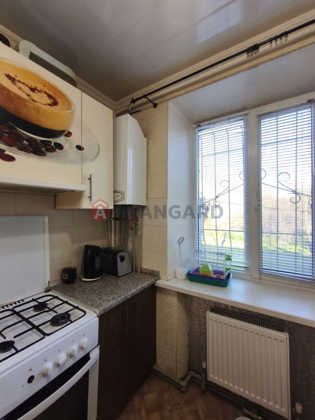 3 ��. ��������, 55/-/8 ��. �., 2/3 ������ ���� 3